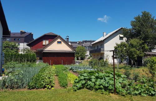 Apartment Milka - Foto 19