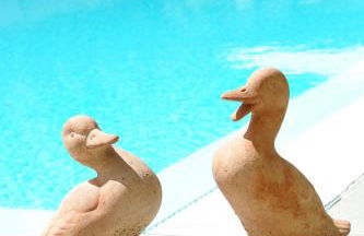 Borgo Caiano Country Inn - Foto 70