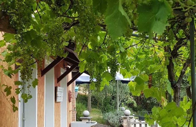 Home set in Olive Grove With Stunning Views - Foto 35