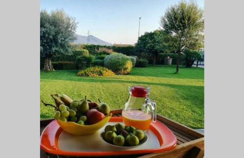 APPARTAMENT '' IL GIARDINO '' - Photo 42