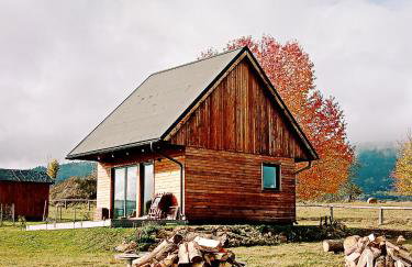 Przewietrzona Głowa - Foto 45