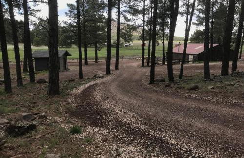 Grand Canyon 1bd Loft at Historic Wrigley Ranch-Suite with Horseback Riding, Hiking - Foto 12