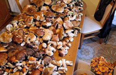 Chatka pod Lubaniem - Photo 52