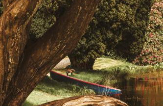 Tempo Manor Cabins - Foto 7