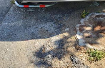 Duplex Camargue Village - Photo 44