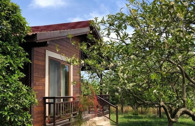 Villa Bilge - Foto 42