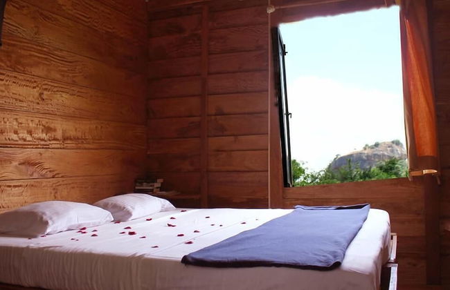 Thick forest sigiriya - Photo 20