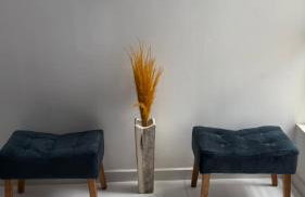 Studio Capital do Forró - Foto 16