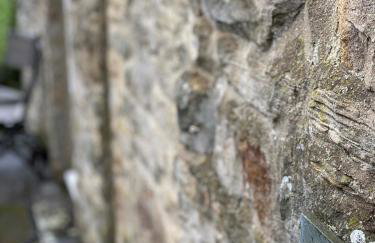 Wonderfully Scenic and Comfortable Dales Mill Property - Photo 41