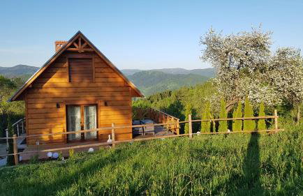 Domek Góralski Piwowarówka - Foto 69