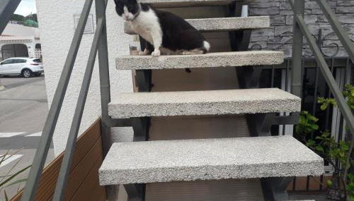 Villanoelia Beach - Foto 4