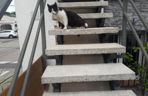 Villanoelia Beach - Foto 4