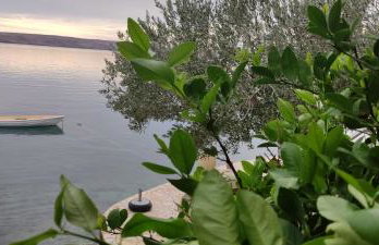 Apartman JURJEVIĆ - Photo 4