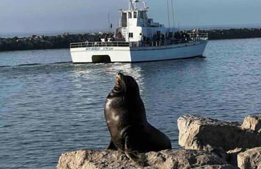 Historic Spanish Home at Hollywood Beach - Foto 35