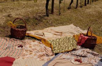 Tenuta Tenaglia - Foto 73