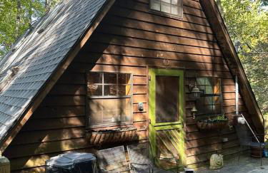 Bearly Behavin - Foto 63