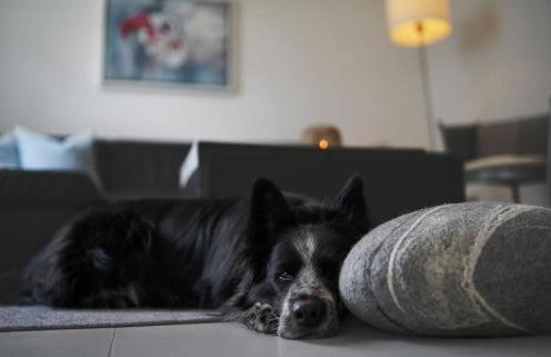 Ferienwohnung Am Stadtpark - Foto 26