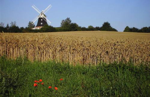 Ferienhaus Am Linden-Brink - Foto 37