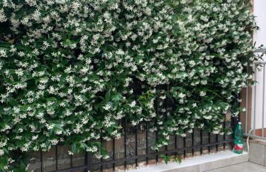 Gilda’s Home - Foto 32