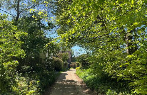 Bramble Bank - Foto 25