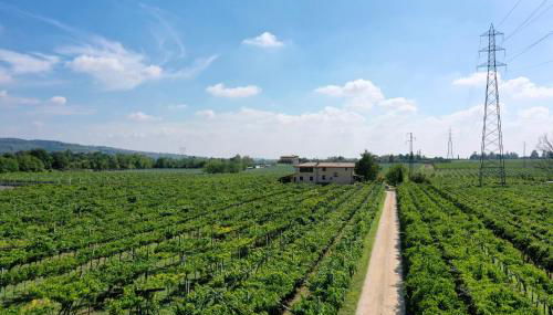 Corte Odorico - Foto 4, Garden, Garden view