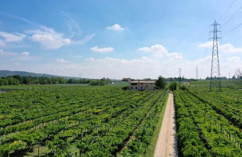 Corte Odorico - Foto 4