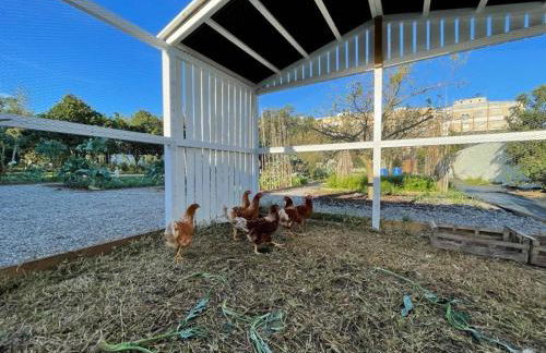 70's wood house - Foto 50