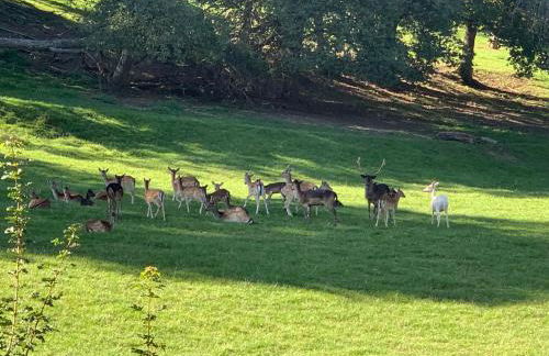 Bauernhof - Auszeit mal anders - Foto 19