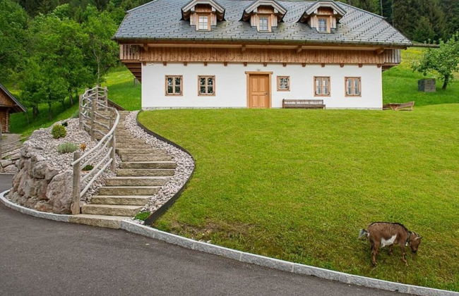 Infanglalm "attersee" - Foto 36