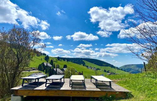 Berghof Almzeit - Fewo "Heuboden", Sauna , Todtnauberg, Feldberg - Foto 25