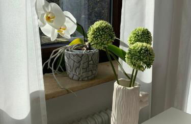 Top Modernes 1-Zimmer-Apartment mit Küche, Parkplatz, kostenfreiem WLAN und Netflix - Foto 6