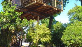 Casa na Árvore - Foto 4, Garden, Garden view