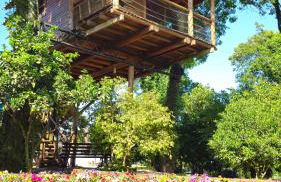 Casa na Árvore - Foto 4