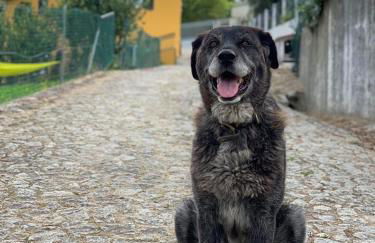 Loft - Casinha à Porta - Foto 52