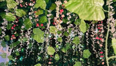 Chez Jade - Spa, Gare et centre ville - Foto 3