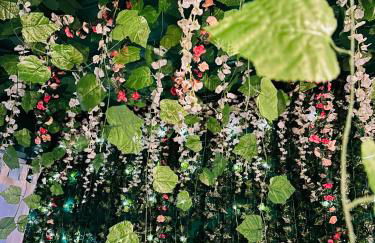 Chez Jade - Spa, Gare et centre ville - Foto 3