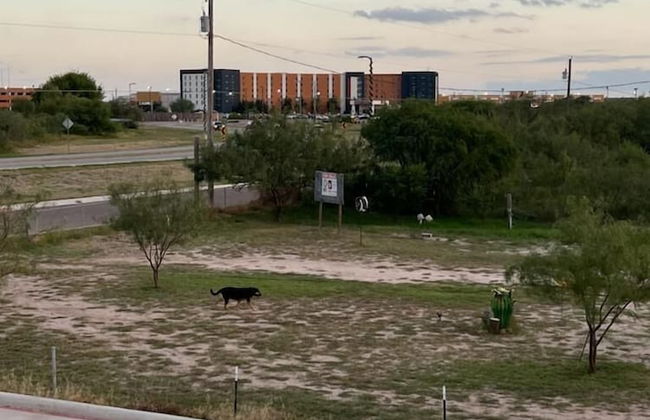 Eagle Pass Condo Rentals - Photo 21