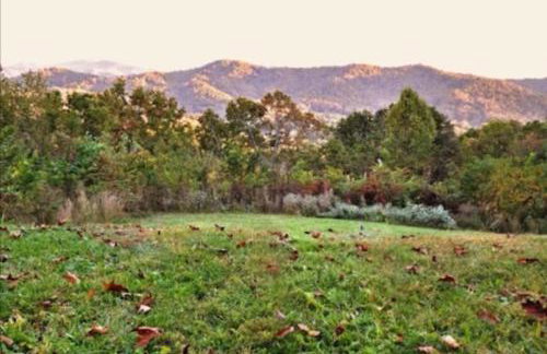 Raven Haven - Foto 31