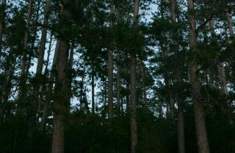 Gorgeous Views, Fishing at Private Cabin on Pelican Lake, Orr MN - Foto 38