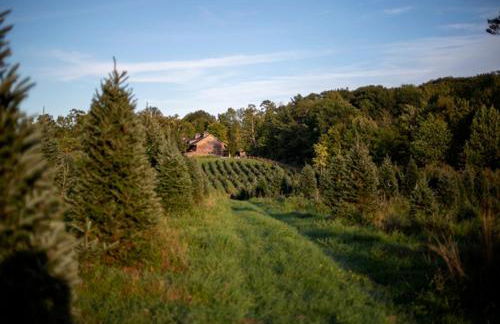 Experience the Rocks Estate like never before with a stay at the Gardeners Cottage! - Foto 28