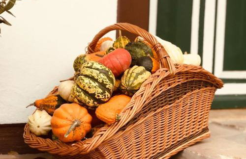 Privat Apartment- Near Strasbourg, Baden Baden - Foto 67