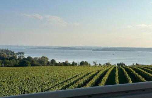 Kevins Ferienwohnungen Uhldingen-Mühlhofen - Foto 1