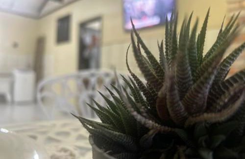 SOBRADO Com 3 QUARTOS NO CORAÇÃO DO COSTA E SILVA - Photo 90