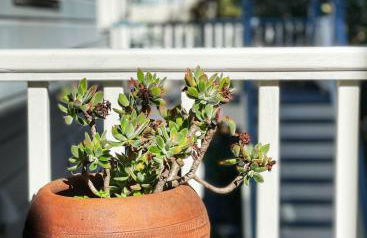 Totally Renovated Victorian House in Center SF! - Foto 72