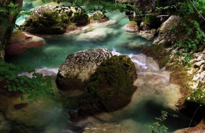 Nekasenea II - Foto 1