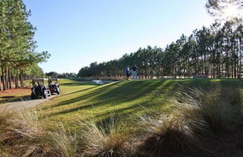 Golf View, Gameroom,SW facing pool, spa - Foto 42