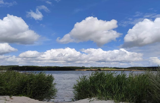 Holiday Home in Svendborg - Foto 53
