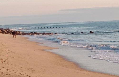 Location maison à l'Epine sur Île de Noirmoutier - Foto 13