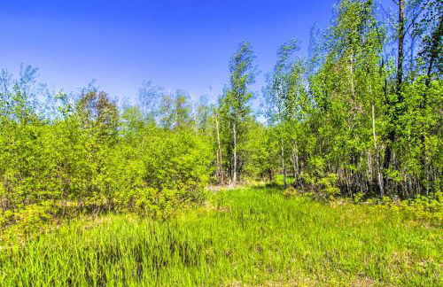 Rural Harrys House with Fire Pit on 20 Acres - Foto 28