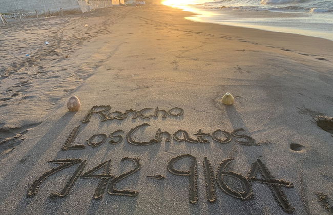 Rancho Los Chatos - Photo 50